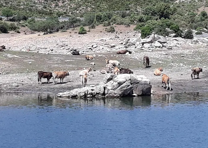 Il Sughereto Apartamento
