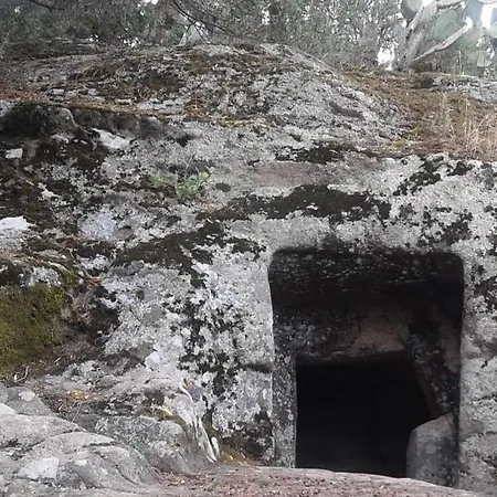 Il Sughereto דירה