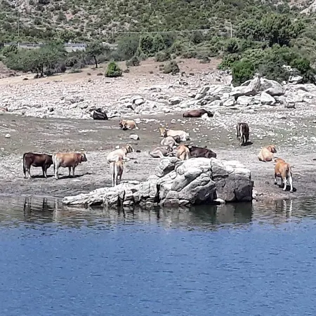 Il Sughereto Apartmán